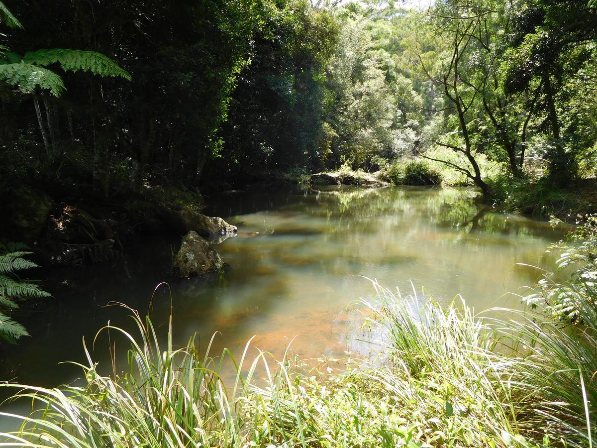 Purling Brook Falls Gwongorella 호텔 스프링브룩 외부 사진