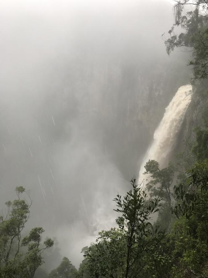 Purling Brook Falls Gwongorella 호텔 스프링브룩 외부 사진